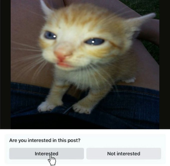 Second workspace image